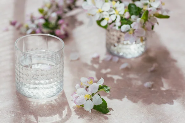 Glass of pure water on the table with blossoming apple tree branch in a glass. Morning sunshine mood