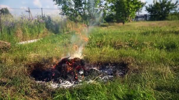Fuoco Inizia a bruciare erba secca in una campagna — Video Stock