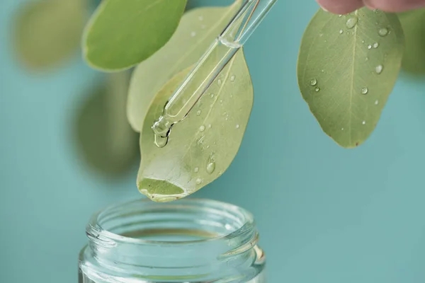 Macro shot of beautiful leaf and pipette, medicine drop falling into jar. Natural, organic, bio cosmetics from herbs and plants for skin and health