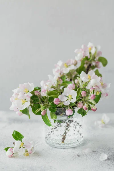 Branches with white apple flowers in a transparent glass on a gray background. Still life, Easter greeting card
