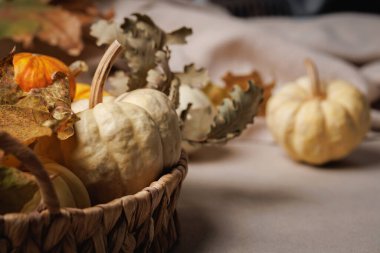Kabak, meşe yaprakları ve doğal tonlarda yumuşak kumaşla kırsal bileşim.