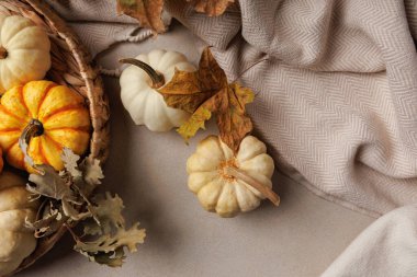 Beyaz ve turuncu balkabaklarından oluşan bir sepet kumaşın üzerine saçılmış sonbahar yaprakları.