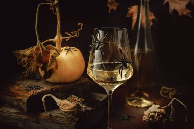 Beyaz şarap bardağı ve siyah örümcekler küçük balkabağı ve şişenin yanında koyu renkte Cadılar Bayramı kompozisyonu.