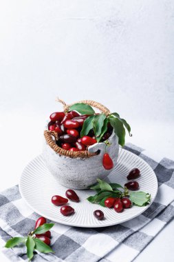 Beyaz tabakta yapraklı dal ve kareli peçeteyle dokulu seramik kasede dogwood meyveleri.