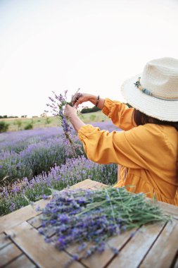 Gün batımında lavanta tarlasında el yapımı lavanta çelengi kaldıran kadının arka planı