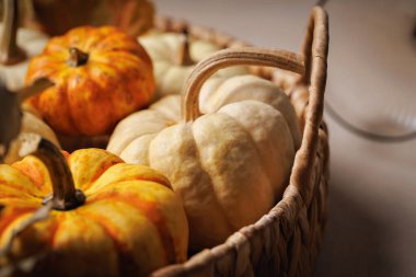 Beyaz ve turuncu mini balkabaklarının sonbahar ışığı eşliğinde örülmüş bir sepetteki detaylı görüntüsü