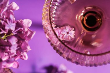 Yumuşak mor arka planda kristal camda süzülen leylak yapraklı köpüklü şarabın yakın görüntüsü