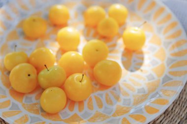 Turuncu ve beyaz süslemeli açık havada taze sarı eriklerin yakın çekimi.