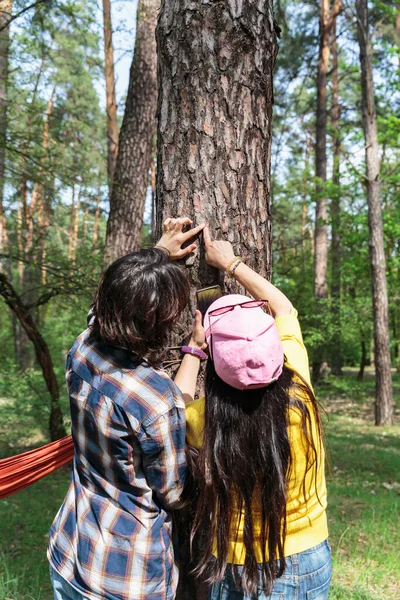Genç çocuk ve anne ağaç kabuklarını orman gezisi sırasında akıllı telefon kullanarak yakından inceler.