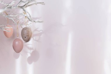 Paskalya yumurtalarıyla süslenmiş ağaç dalı. Pastel pembe arka plan, güneş ışığı ve gölgelerle süslenmiş. Ev Paskalya dekoru. Metin için kopya alanı olan Mutlu Paskalya tebrik kartları ya da davetler