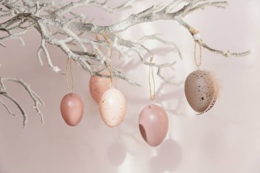 Paskalya yumurtalarıyla süslenmiş ağaç dalı. Pastel pembe arka plan, güneş ışığı ve gölgelerle süslenmiş. Ev Paskalya dekoru. Mutlu Paskalya tebrik kartları ya da davetiyeler