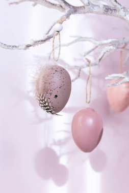 Paskalya yumurtalarıyla süslenmiş ağaç dalı. Pastel pembe arka plan, güneş ışığı ve gölgelerle süslenmiş. Ev Paskalya dekoru. Metin için kopya alanı olan Mutlu Paskalya tebrik kartları ya da davetler