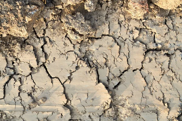 Cracked ground with mud texture. — Stock Photo, Image