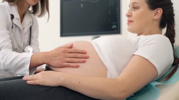 Kompetenter Gynäkologe untersucht Bauch einer Schwangeren — Stockvideo