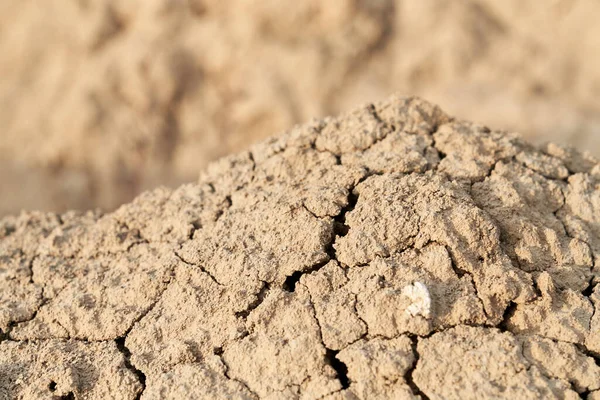 Loose sand beige in desert. — Stock Photo, Image