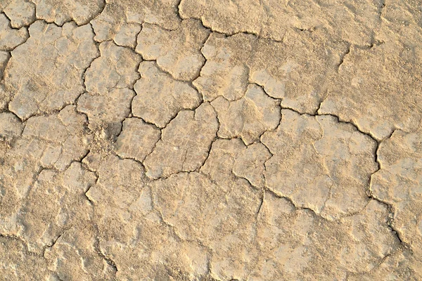 Pęknięcie gleby w porze suchej. — Zdjęcie stockowe