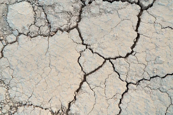Cracked dry soil in ground. — Stock Photo, Image