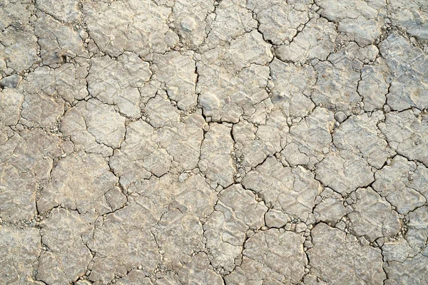 Dry cracked earth background. — Stock Photo, Image