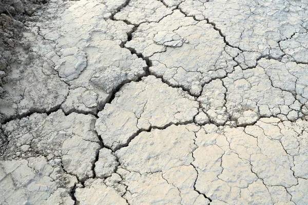 Textur av den spruckna smutsiga leran i öknen. Stockbild
