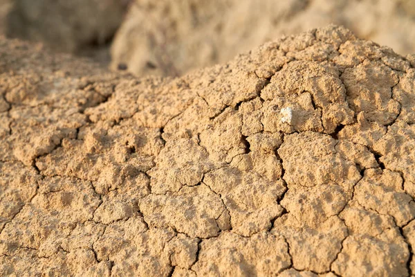 Soil crack texture. — Stock Photo, Image