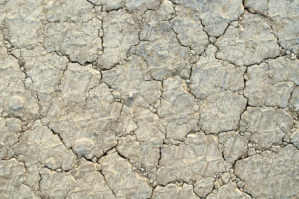 Dry soil background, land cracks surface texture. — Stock Photo, Image