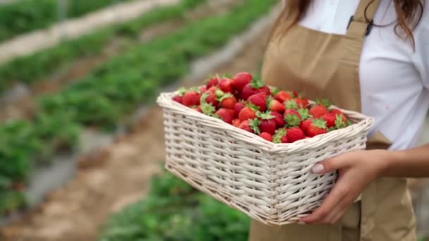 큰 바구니에 맛있는 딸기를 담은 젊은 여자. — 비디오