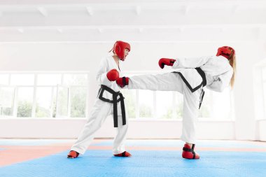 İki profesyonel kadın karate dövüşü, karate tekniği kullanarak tekme ve yumruk..