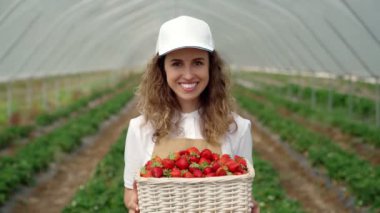 Gülümseyen ve taze çilek tutan mutlu kadın çiftçi..