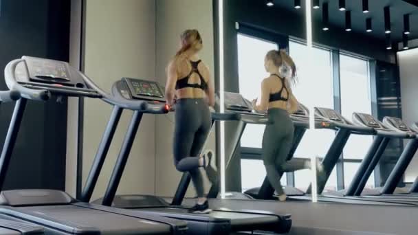 Dwie attrakcyjne kobiety robiące kardion na bieżni na siłowni. — Wideo stockowe