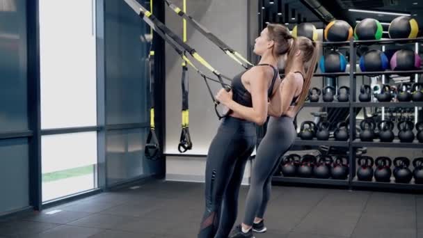 Mujeres deportivas haciendo ejercicio con el sistema TRX. — Vídeo de stock