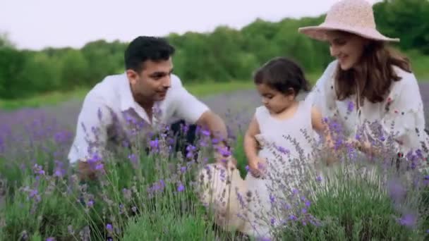 Щаслива сім'я сидить у лавандовому полі — стокове відео