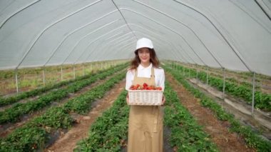 Çekici bir kadın olgun çilek sepeti tutuyor..