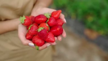 Kadın ellerinde bir yığın taze çilek..