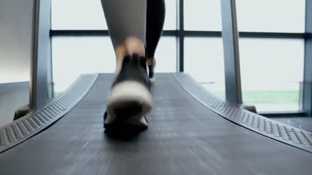 Slim kaki pelatihan pada treadmill di gym. — Stok Video