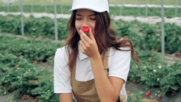 Mujer sonriente usando delantal oliendo fresa en la plantación. — Vídeos de Stock