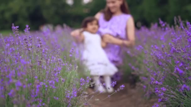 在薰衣草地里，妈妈拥吻着小女儿. — 图库视频影像