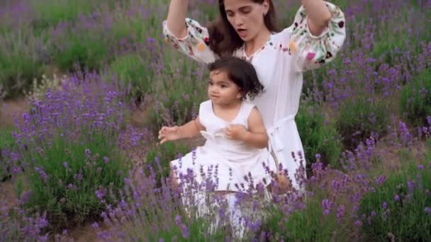 Mãe se divertindo com bebê menina no campo de lavanda. — Vídeo de Stock