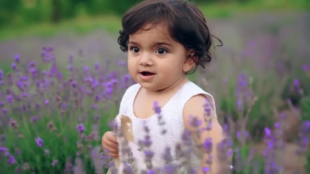 Linda menina posando no campo de lavanda. — Vídeo de Stock