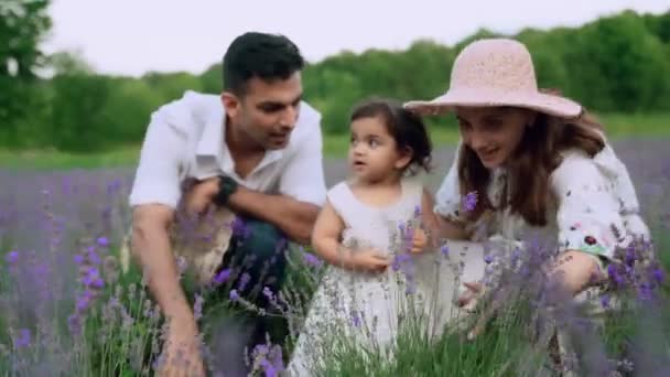 Счастливая молодая семья сидит на лавандовом поле — стоковое видео