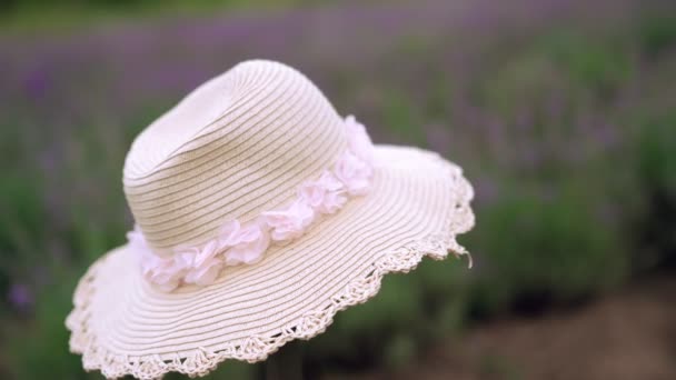 Chapéu de palha com uma fita no campo de lavanda — Vídeo de Stock