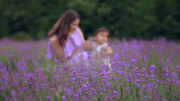 Anya ölelés és csók baba lánya a levendula mező. — Stock videók