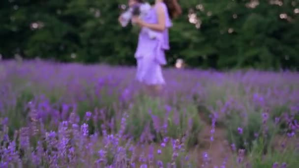 Мама веселится с ребенком на руках в лавандовом поле. — стоковое видео