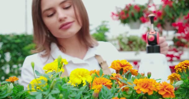 Agradable mujer regando flores de colores en el orangery — Vídeo de stock