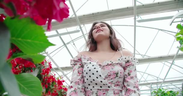 Mujer joven en vestido eligiendo flores en invernadero — Vídeos de Stock