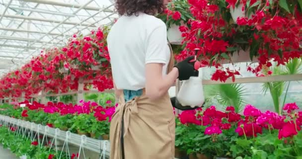Mujer sosteniendo polivizator y regando flores de colores. — Vídeo de stock