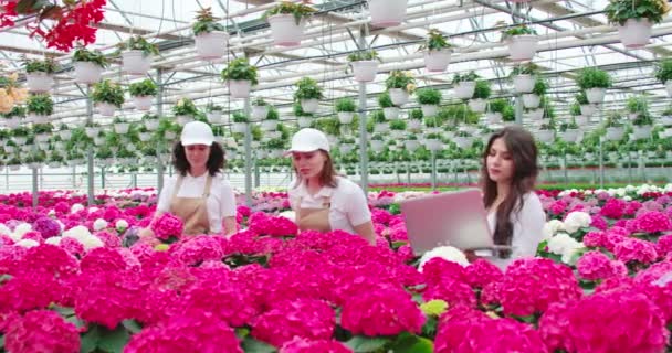 Female workerks checking plants at greenhouse with laptop — Stock Video