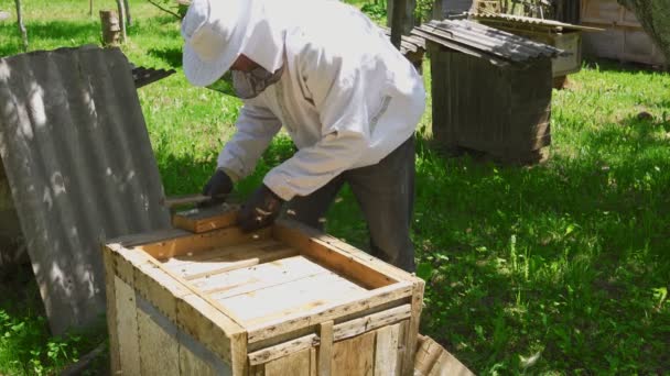 Пчеловод в защитном костюме, работающий с ульем. — стоковое видео