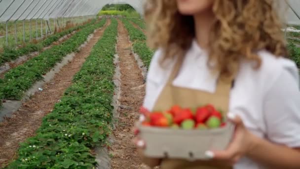 Femme souriante sentant le parfum de fraises à la ferme. — Video