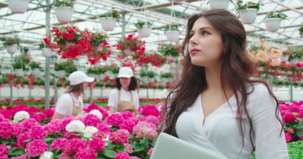 Charmante Frau steht am Gewächshaus mit bunten Blumen — Stockvideo