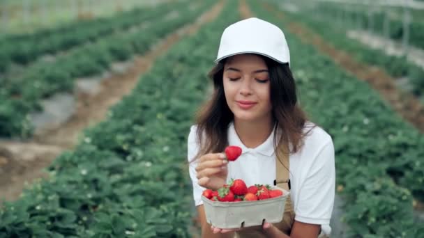 若い女性は新鮮なジューシーなイチゴを食べる. — ストック動画